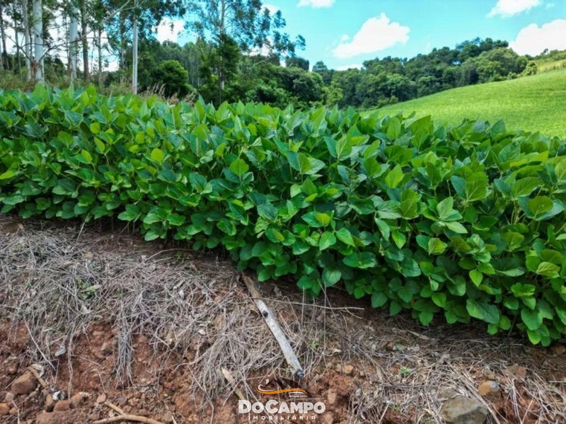 : 15ª foto da galeria de imagens do imóvel