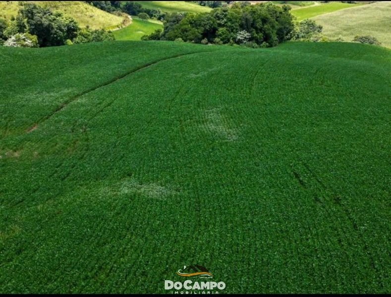 : 19ª foto da galeria de imagens do imóvel