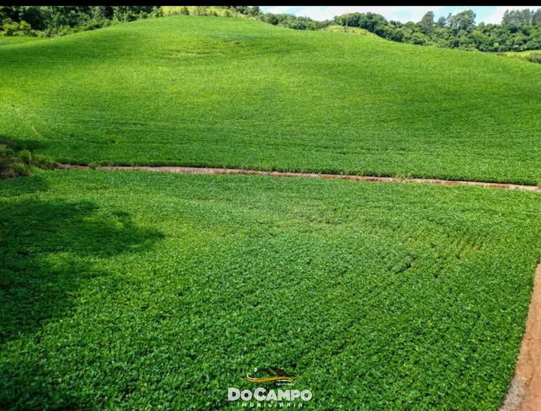 : 14ª foto da galeria de imagens do imóvel