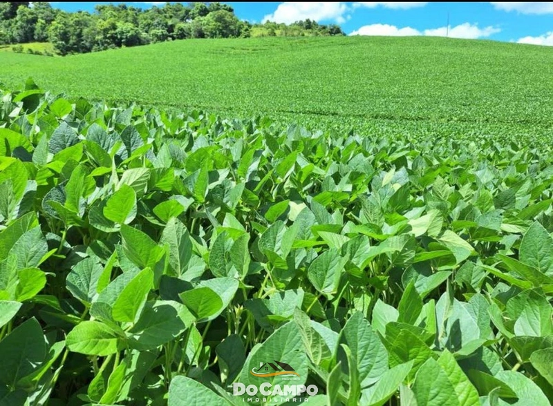 : 16ª foto da galeria de imagens do imóvel