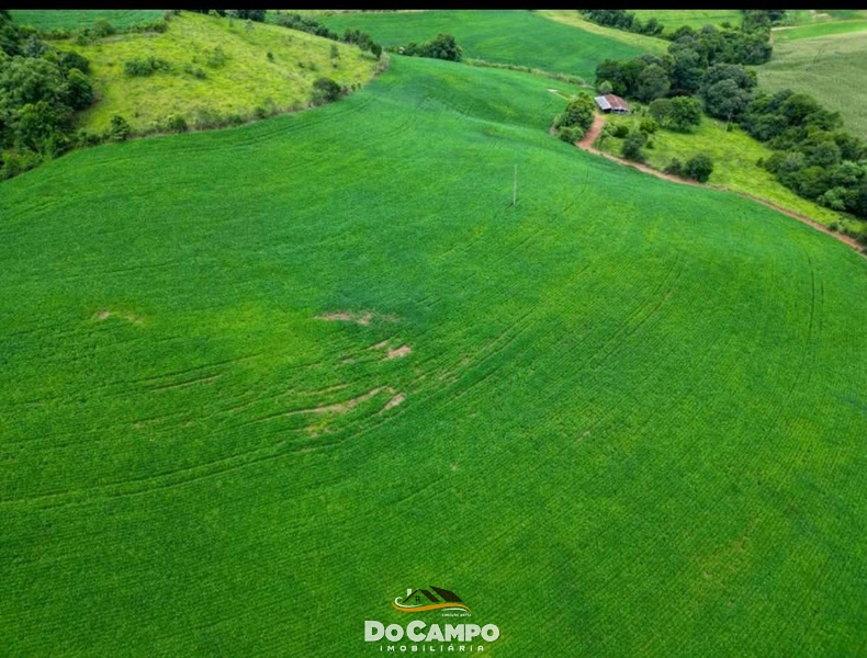 : 13ª foto da galeria de imagens do imóvel