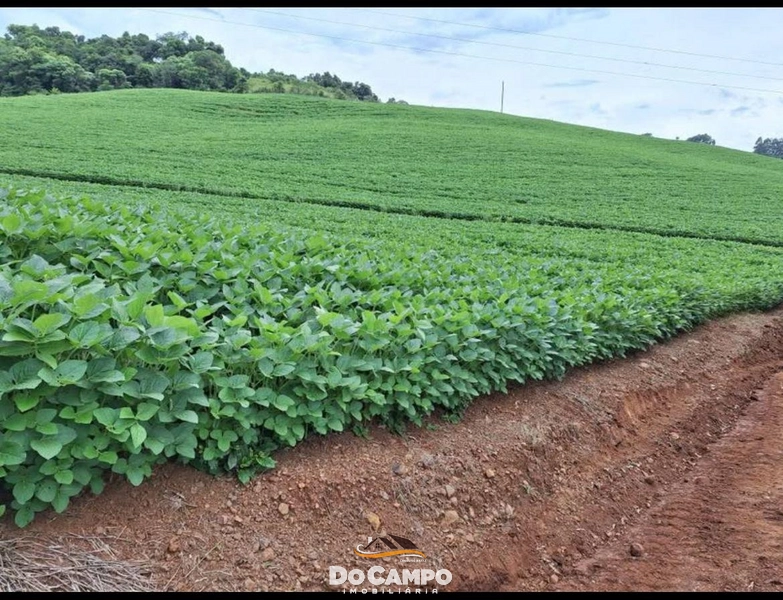 : 11ª foto da galeria de imagens do imóvel