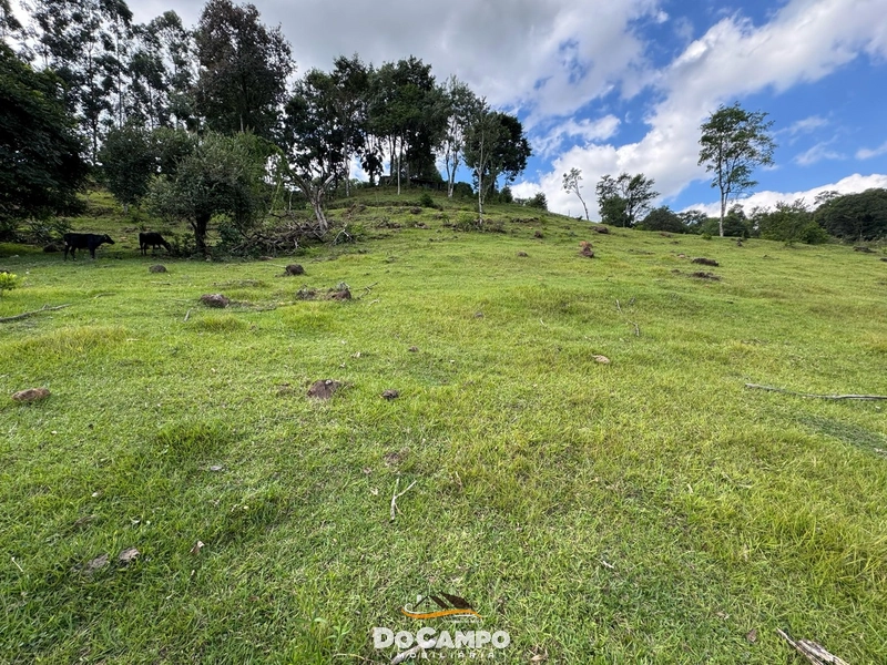 : 12ª foto da galeria de imagens do imóvel