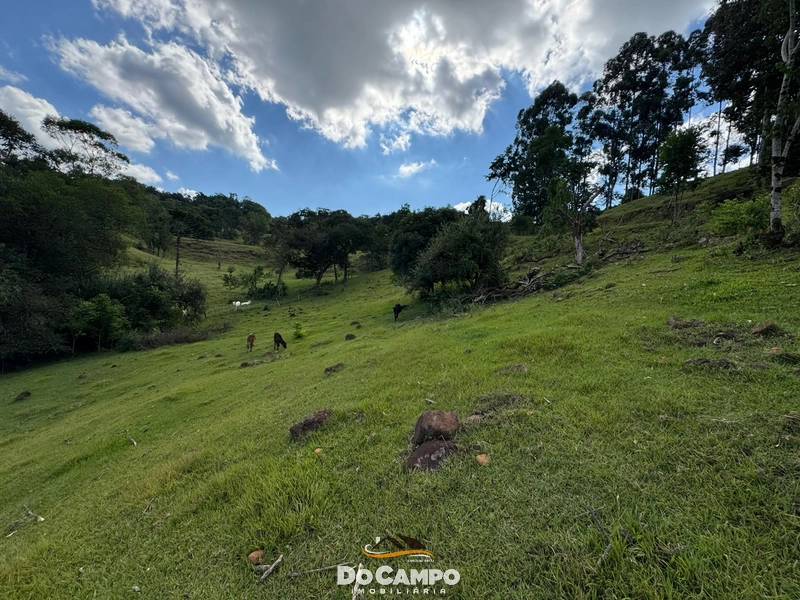 : 14ª foto da galeria de imagens do imóvel