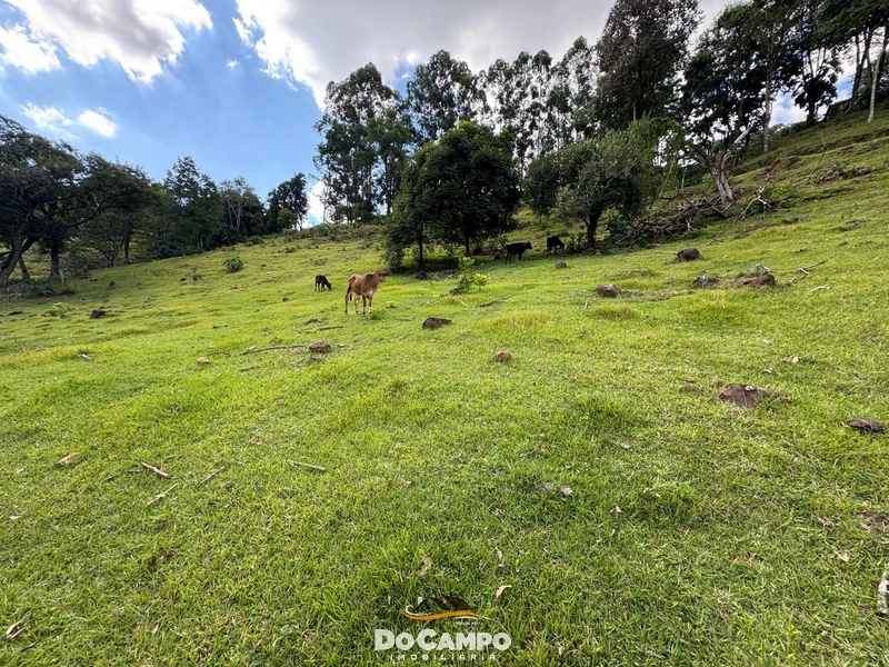 : 11ª foto da galeria de imagens do imóvel