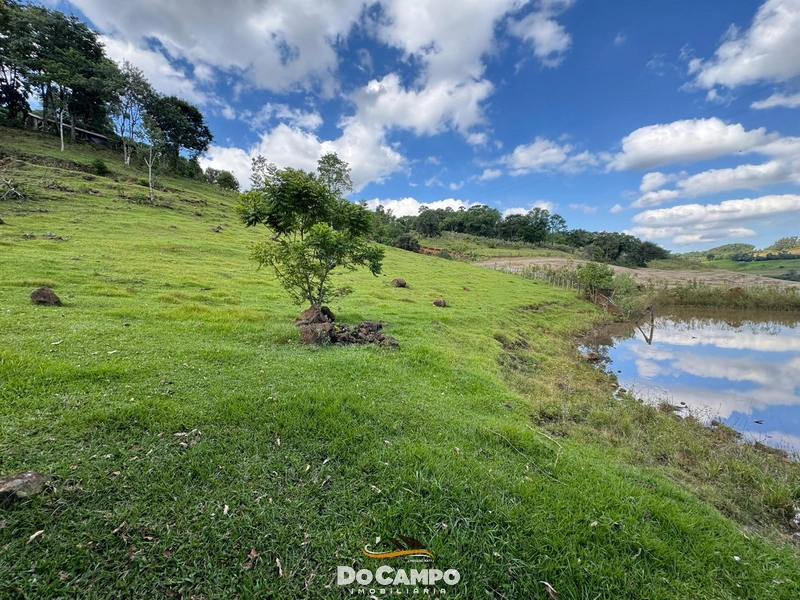 : 10ª foto da galeria de imagens do imóvel
