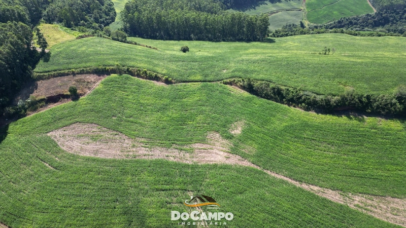 : 10ª foto da galeria de imagens do imóvel