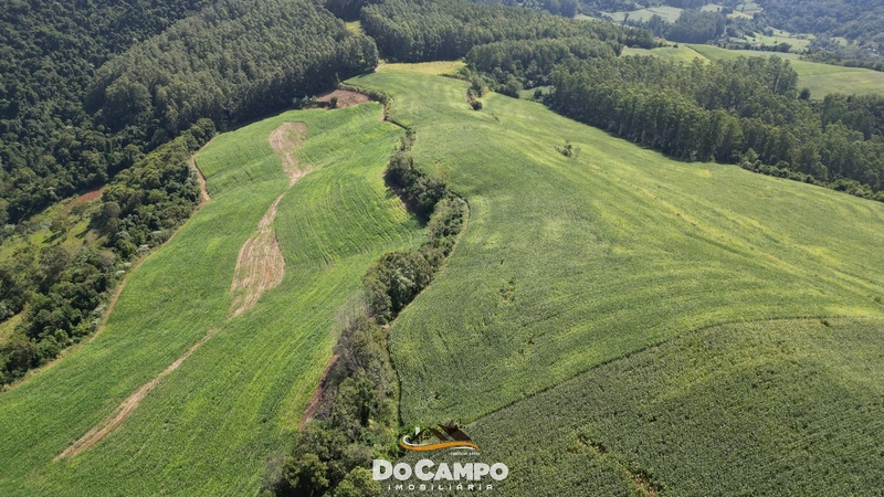 : 14ª foto da galeria de imagens do imóvel