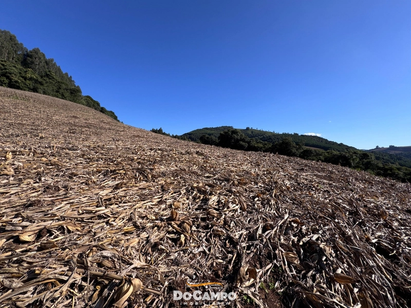 : 26ª foto da galeria de imagens do imóvel