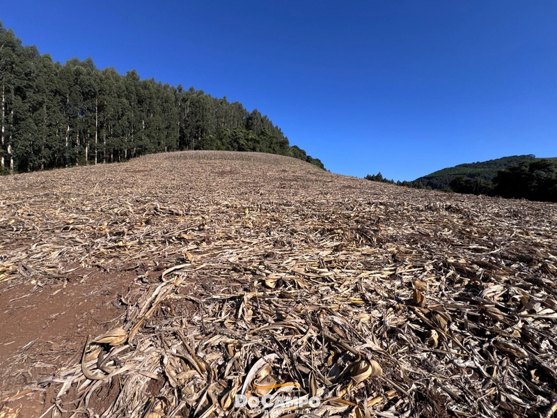 : 25ª foto da galeria de imagens do imóvel