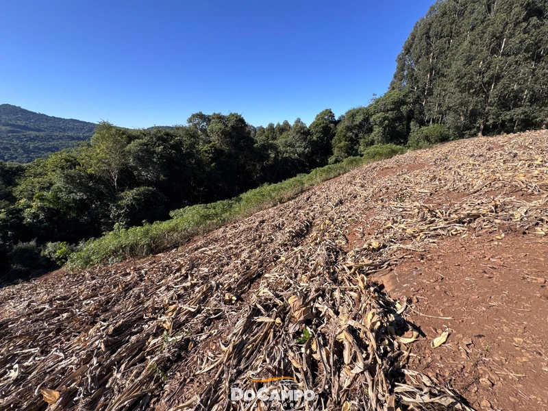: 24ª foto da galeria de imagens do imóvel