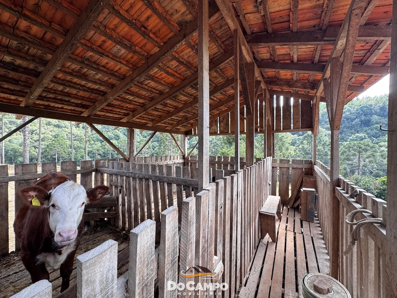 : 13ª foto da galeria de imagens do imóvel
