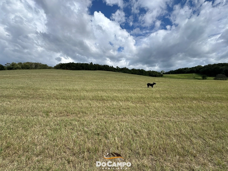 : 24ª foto da galeria de imagens do imóvel