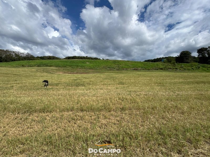 : 25ª foto da galeria de imagens do imóvel