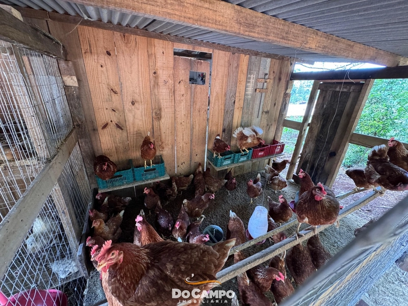 : 11ª foto da galeria de imagens do imóvel