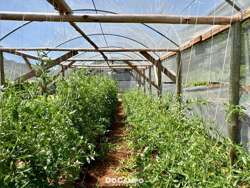 : 18ª foto da galeria de imagens do imóvel