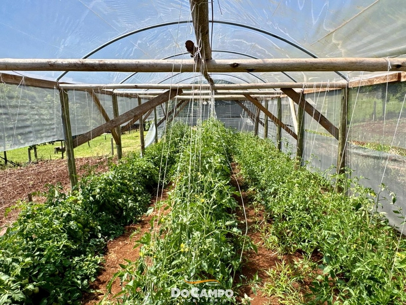 : 19ª foto da galeria de imagens do imóvel