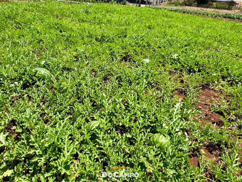 : 21ª foto da galeria de imagens do imóvel