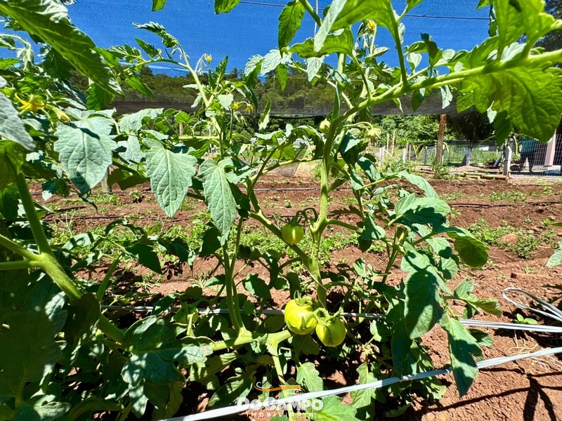 : 27ª foto da galeria de imagens do imóvel