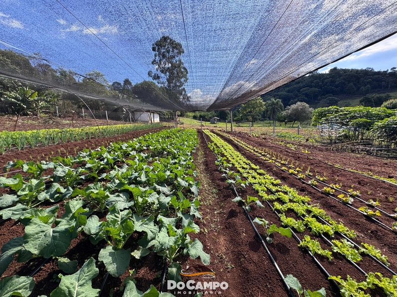 : 17ª foto da galeria de imagens do imóvel