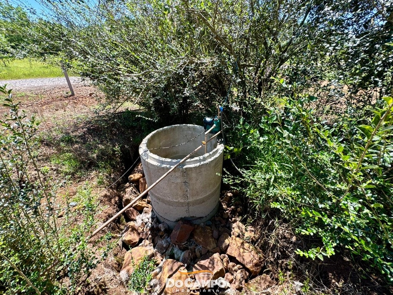 : 30ª foto da galeria de imagens do imóvel