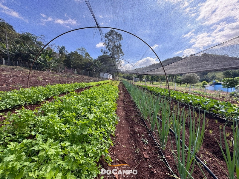 : 16ª foto da galeria de imagens do imóvel