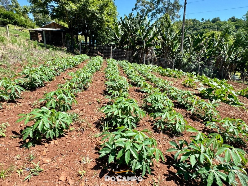 : 22ª foto da galeria de imagens do imóvel