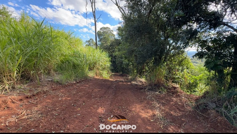 : 11ª foto da galeria de imagens do imóvel