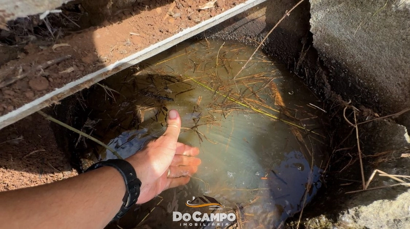 : 7ª foto da galeria de imagens do imóvel