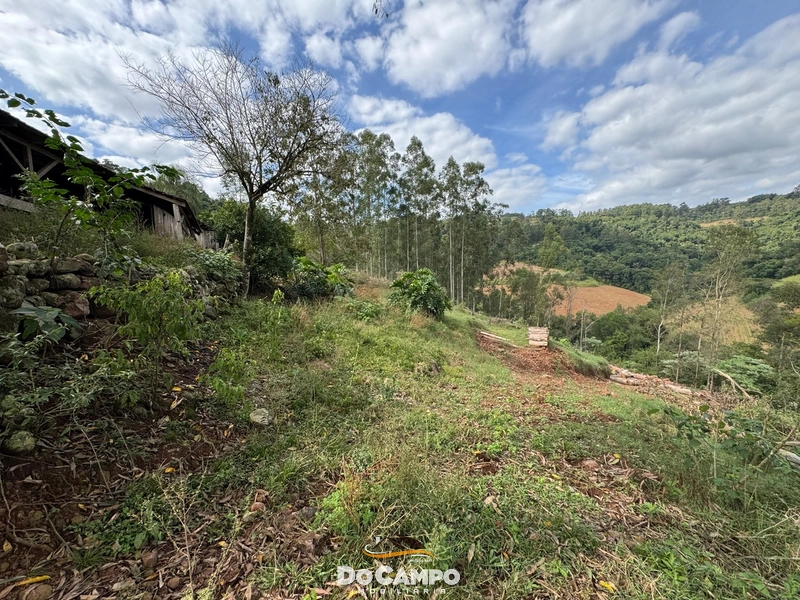 : 22ª foto da galeria de imagens do imóvel
