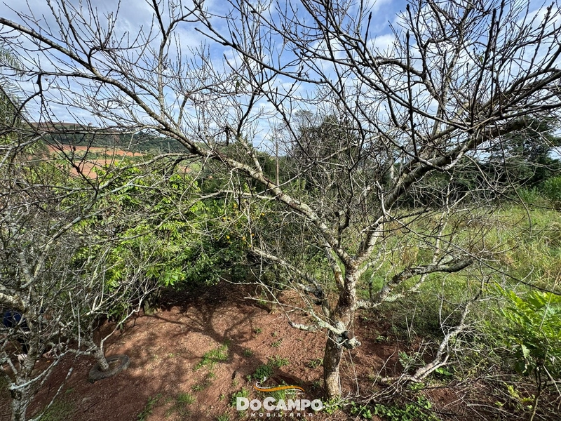 : 14ª foto da galeria de imagens do imóvel