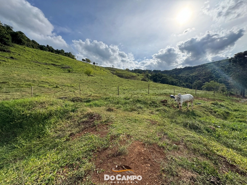 : 20ª foto da galeria de imagens do imóvel