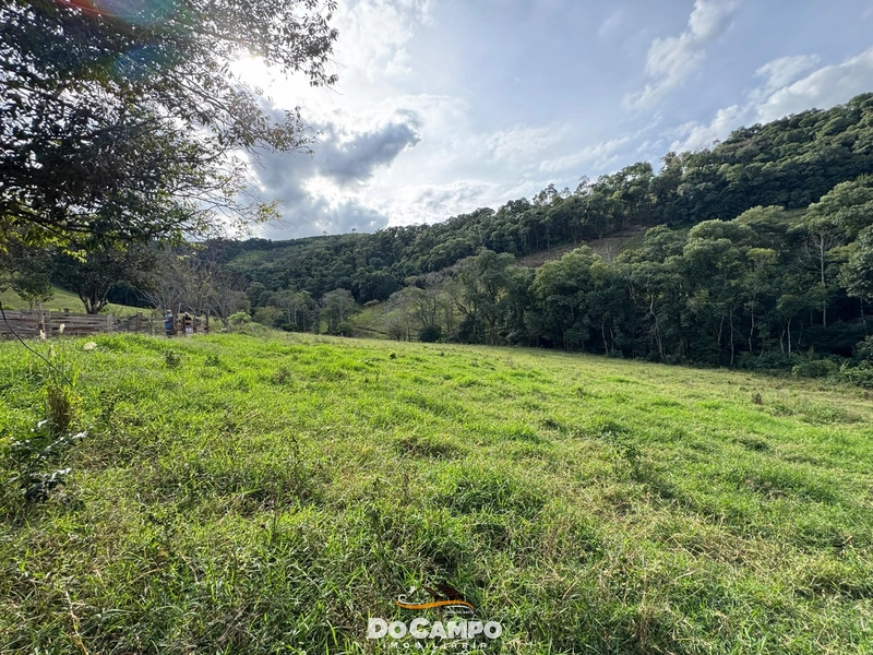 : 22ª foto da galeria de imagens do imóvel