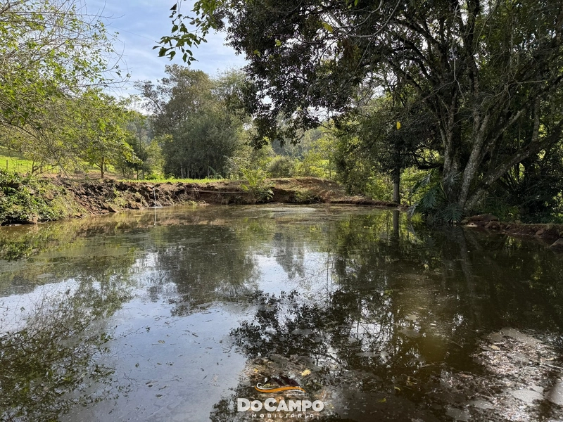 : 5ª foto da galeria de imagens do imóvel