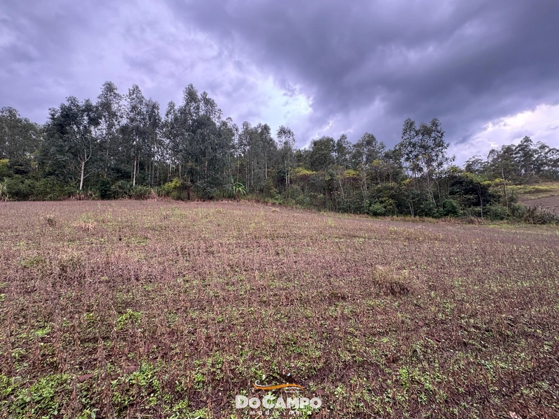 : 13ª foto da galeria de imagens do imóvel