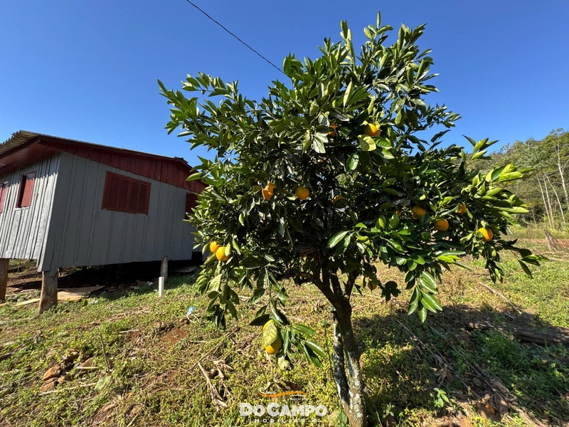: 13ª foto da galeria de imagens do imóvel
