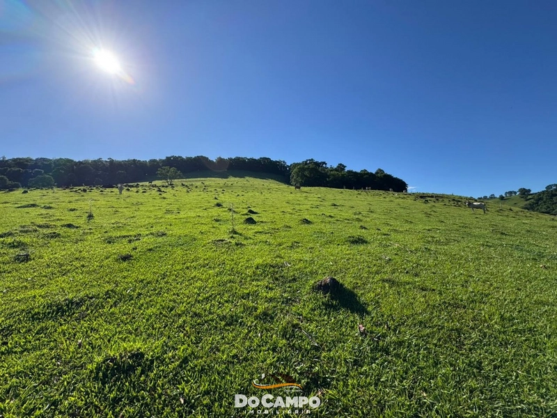 : 58ª foto da galeria de imagens do imóvel