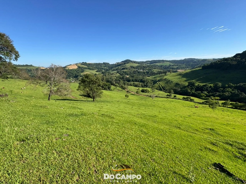 : 40ª foto da galeria de imagens do imóvel