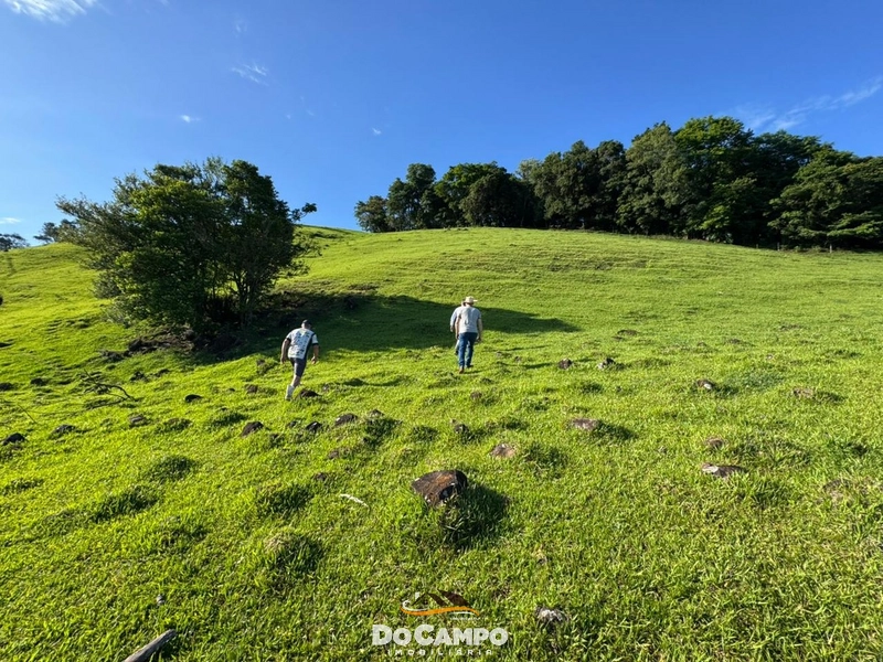 : 33ª foto da galeria de imagens do imóvel