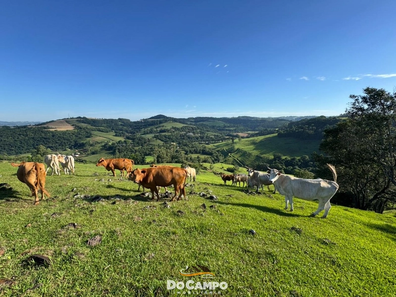 : 36ª foto da galeria de imagens do imóvel