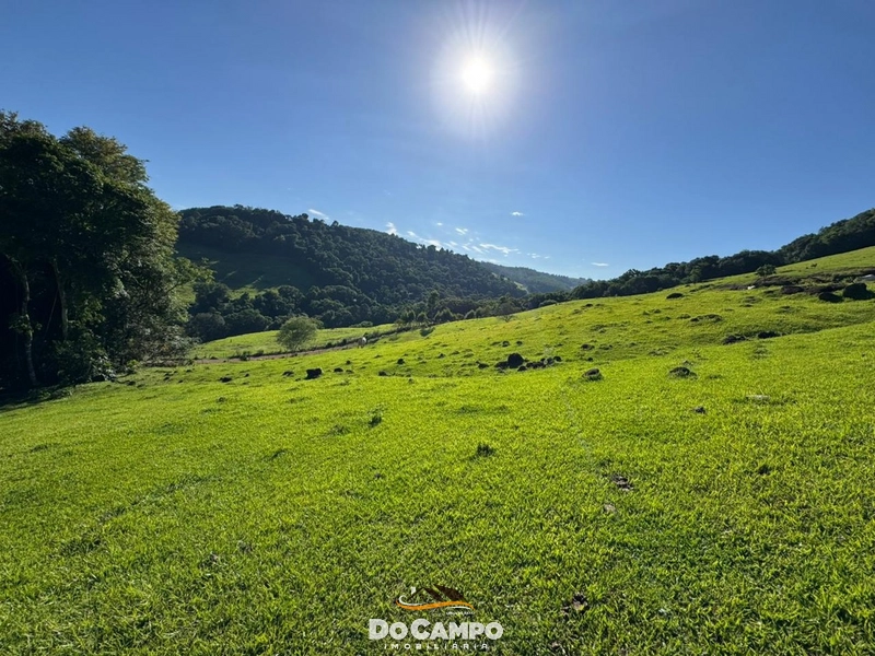 : 50ª foto da galeria de imagens do imóvel