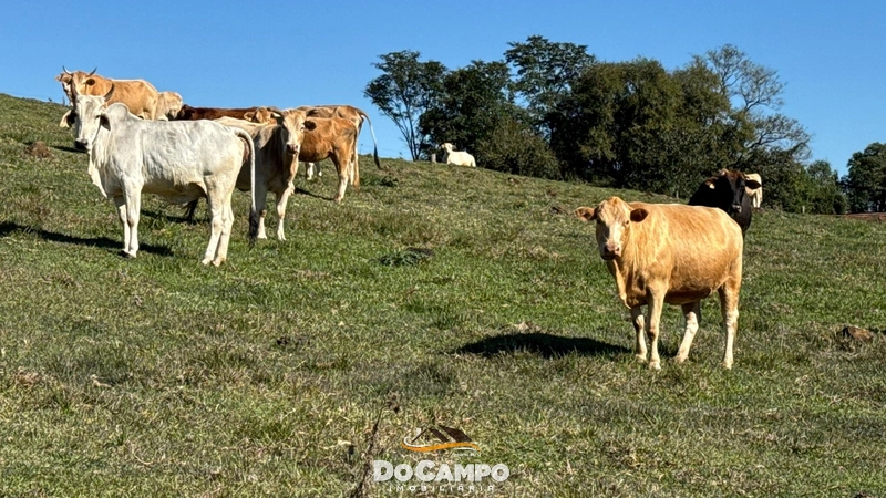 : 27ª foto da galeria de imagens do imóvel