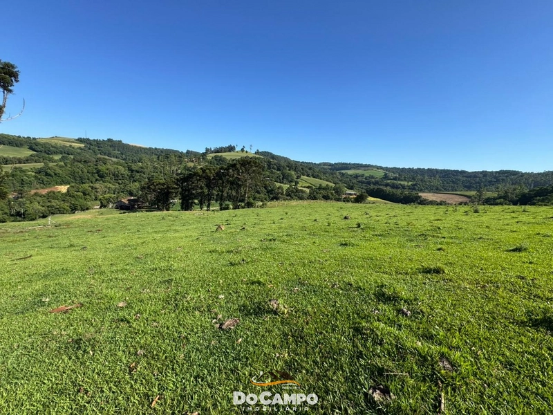 : 55ª foto da galeria de imagens do imóvel