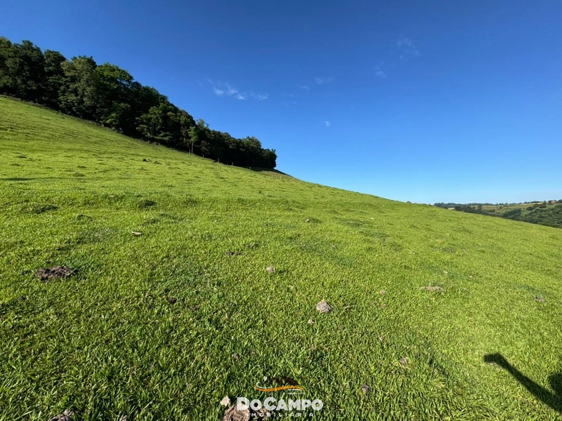 : 23ª foto da galeria de imagens do imóvel