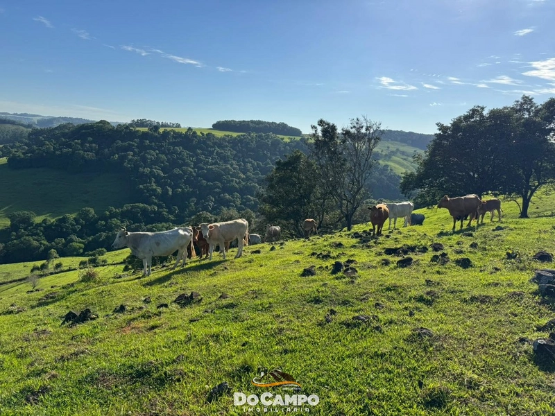 : 35ª foto da galeria de imagens do imóvel