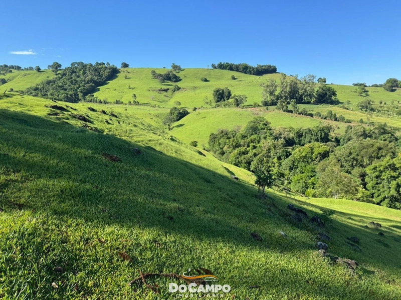 : 54ª foto da galeria de imagens do imóvel