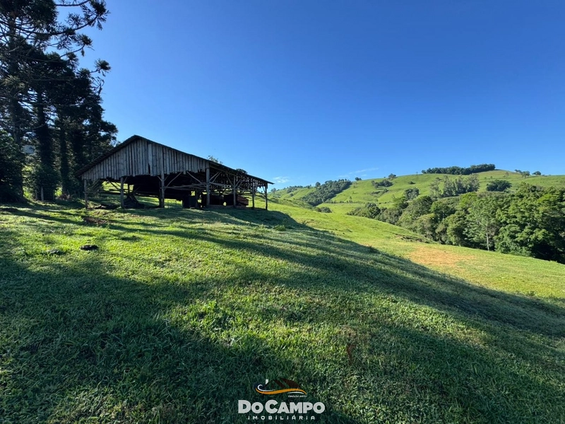 : 43ª foto da galeria de imagens do imóvel