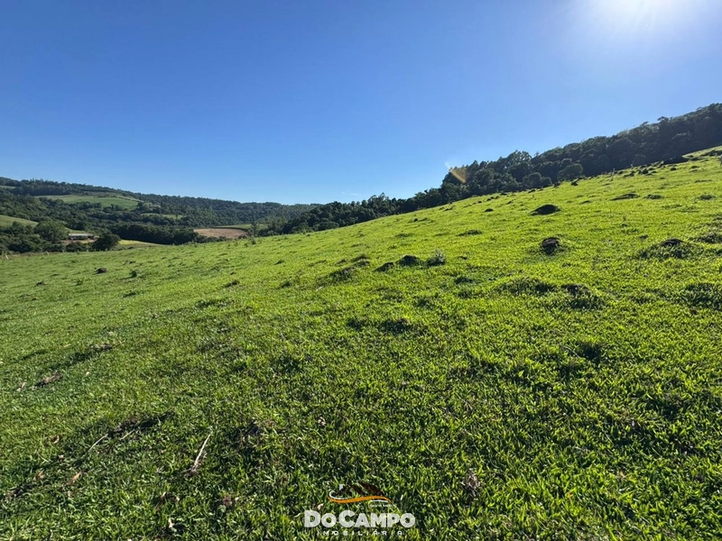 : 57ª foto da galeria de imagens do imóvel