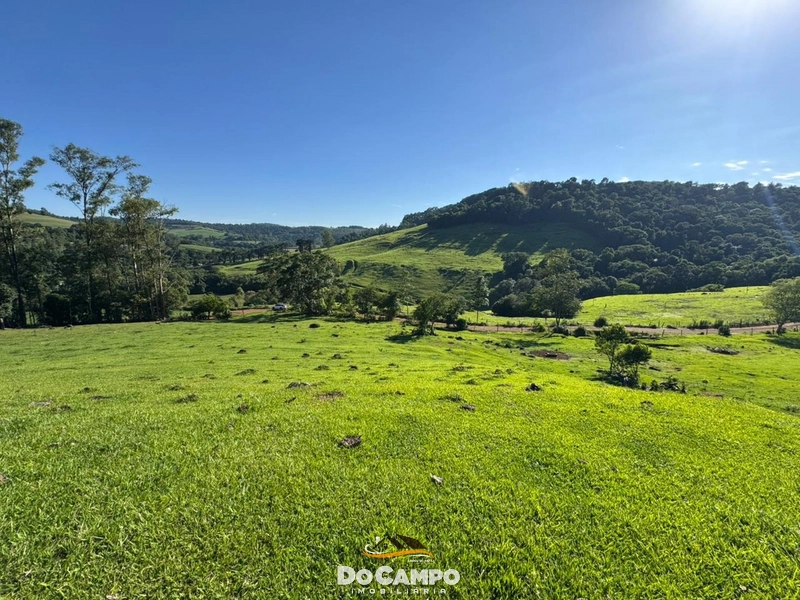 : 52ª foto da galeria de imagens do imóvel