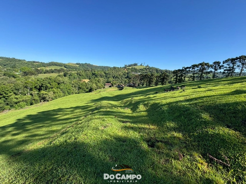 : 56ª foto da galeria de imagens do imóvel